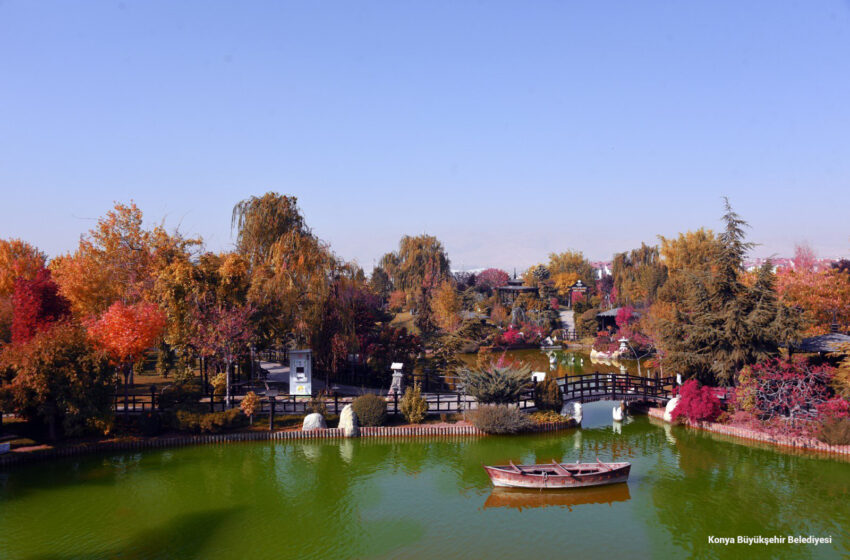  Konya’da Sonbahar’da Birbirinden Güzel Manzaralar Oluştu