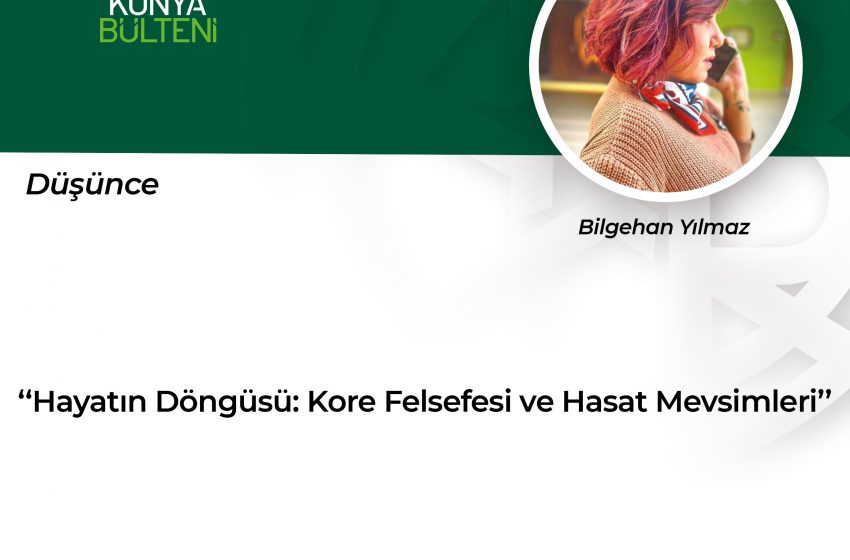  Hayatın Döngüsü: Kore Felsefesi ve Hasat Mevsimleri