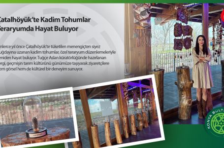 Çatalhöyük’te Kadim Tohumlar Teraryumda Hayat Buluyor