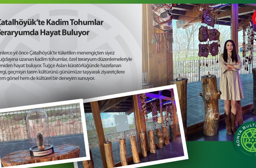  Çatalhöyük’te Kadim Tohumlar Teraryumda Hayat Buluyor