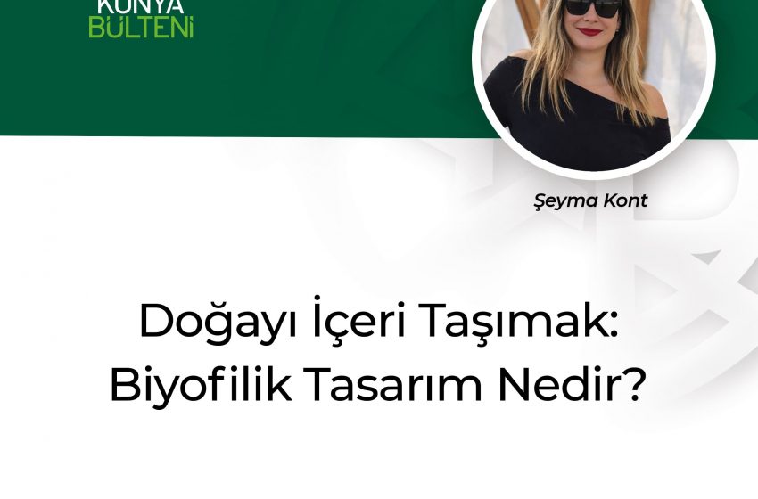  Doğayı İçeri Taşımak: Biyofilik Tasarım Nedir?