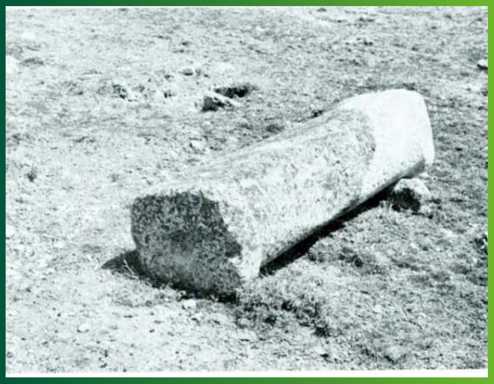 Sırtın güney yamacındaki sütun